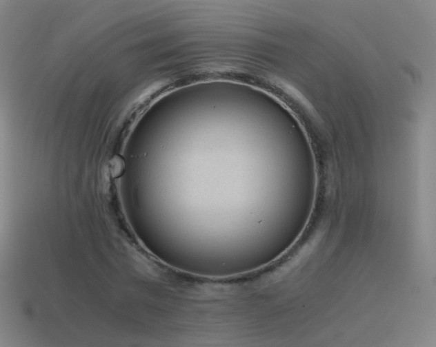 X0000114410777200910161206