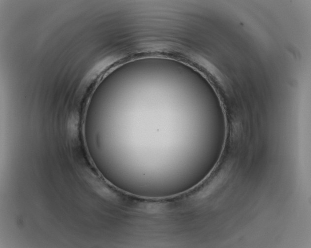 X0000114410778200910161206
