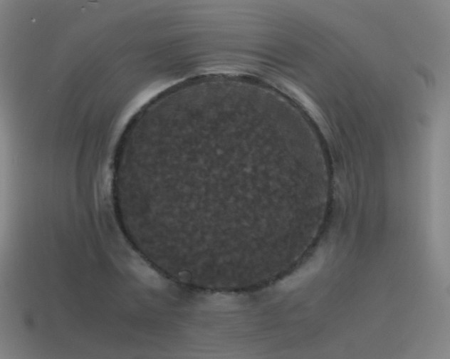 X0000114410779200910161206