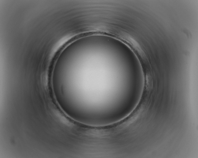 X0000114410780200910161206