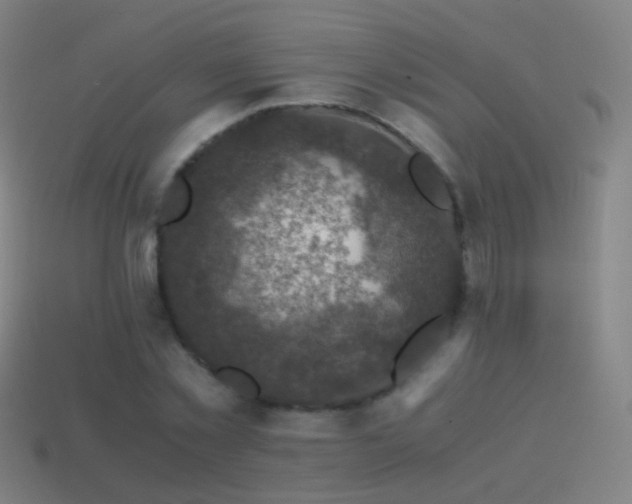 X0000114410781200910161206