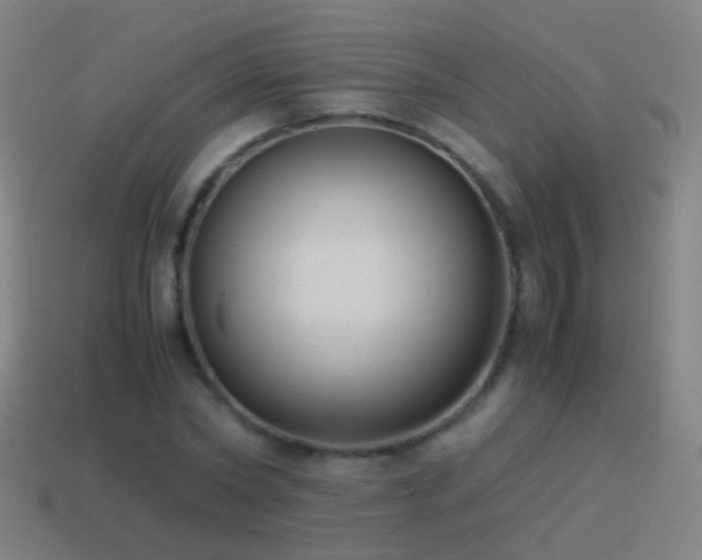 X0000114410782200910161206