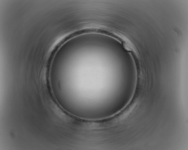 X0000114410783200910161206
