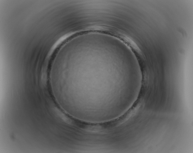 X0000114410784200910161206