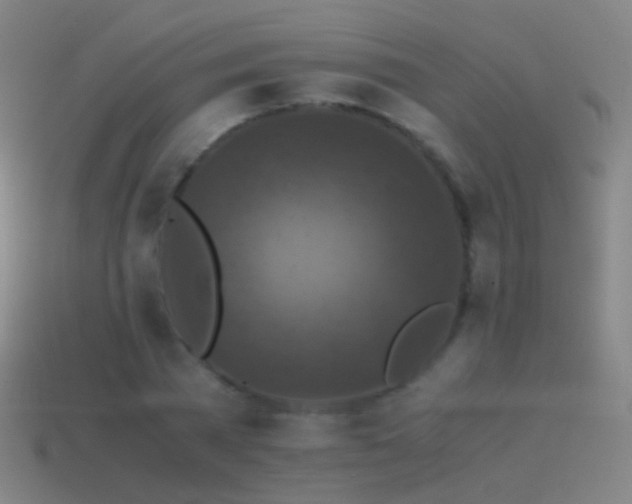 X0000114410785200910161206