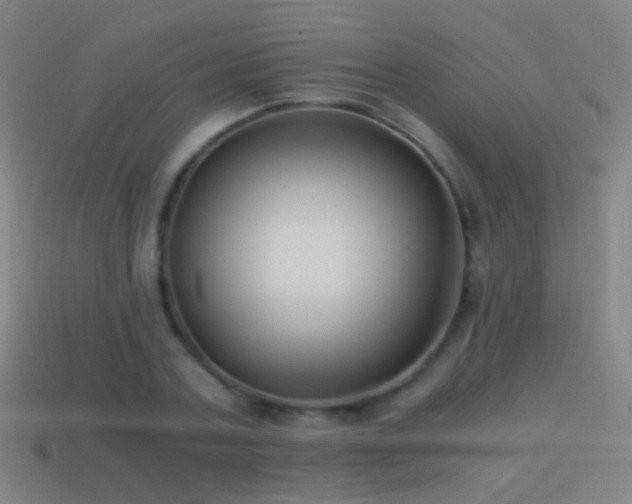 X0000114410787200910161206