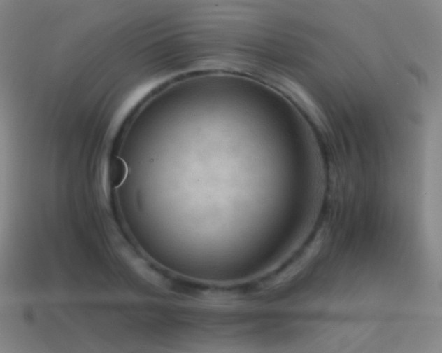 X0000114410788200910161205