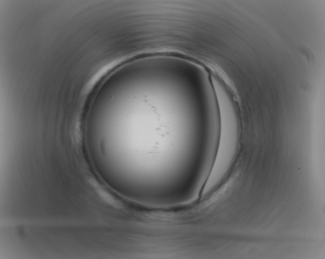 X0000114410789200910161205