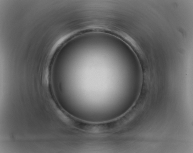 X0000114410791200910161205