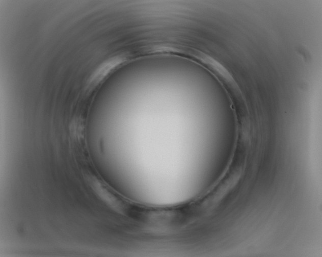X0000114410793200910161205
