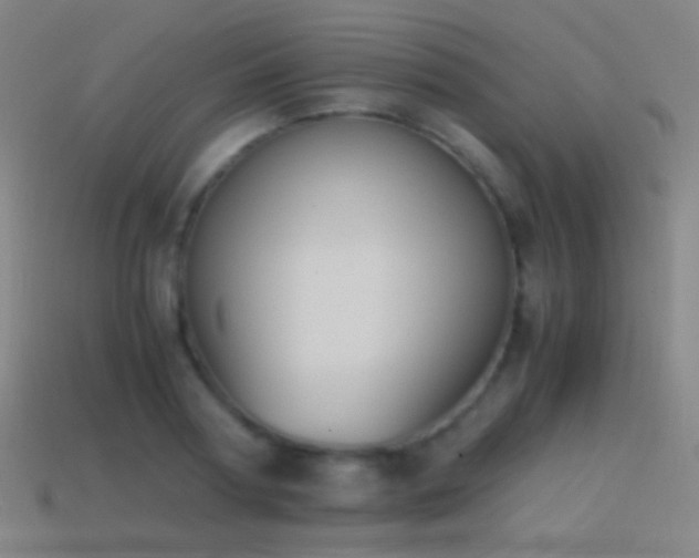 X0000114410794200910161205