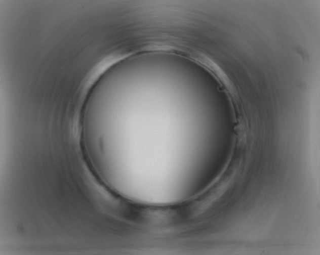 X0000114410795200910161205