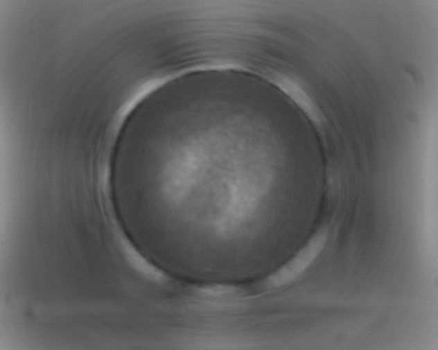 X0000114410797200910161205