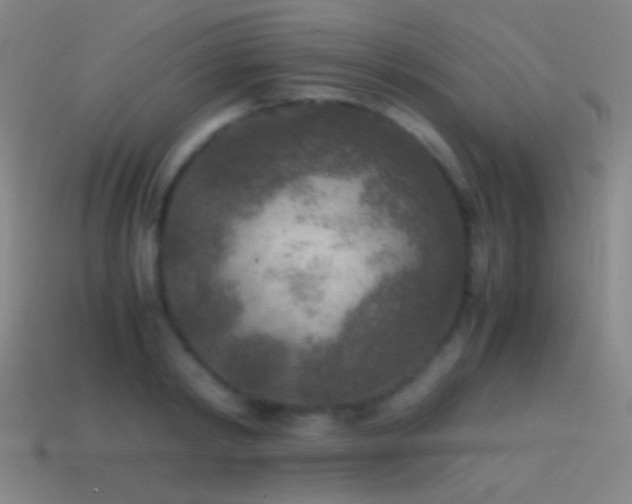 X0000114410798200910161205
