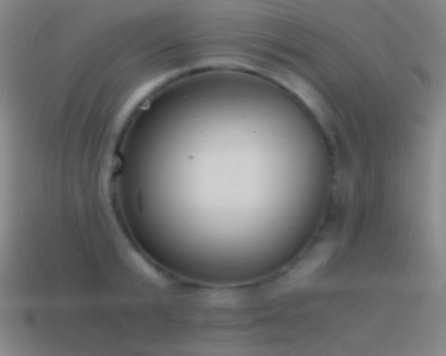X0000114410799200910161205
