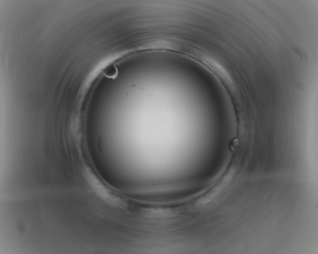 X0000114410800200910161205