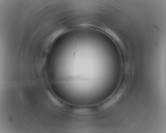 X0000114410801200910161205
