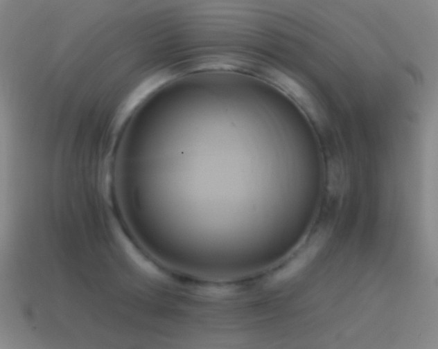 X0000114410802200910161205
