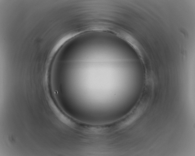 X0000114410803200910161205