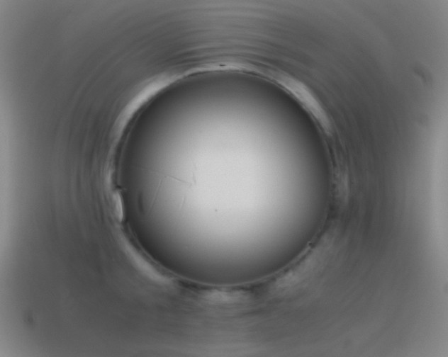 X0000114410805200910161205