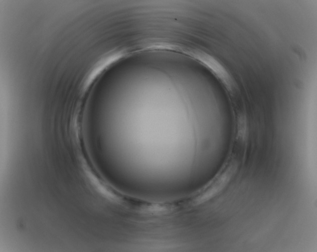 X0000114410806200910161205