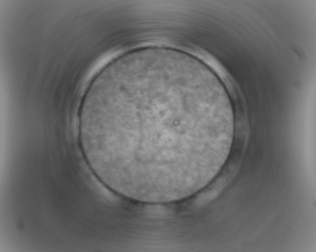 X0000114410807200910161205