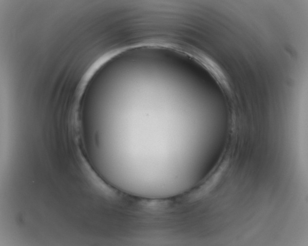 X0000114410808200910161205