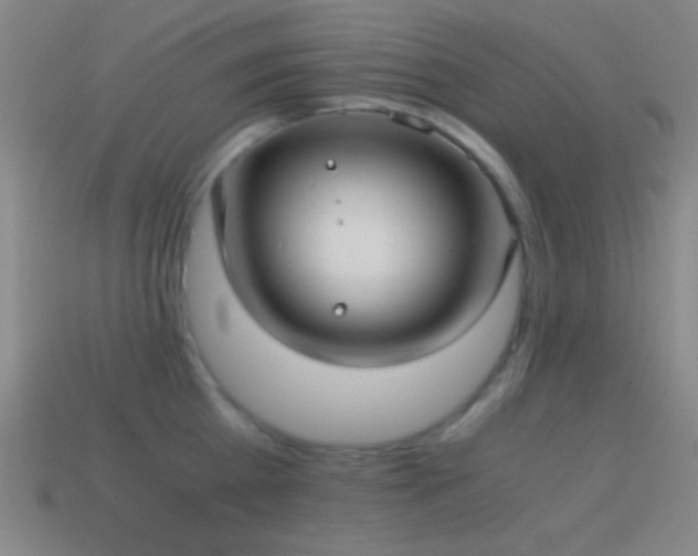 X0000114410809200910161205