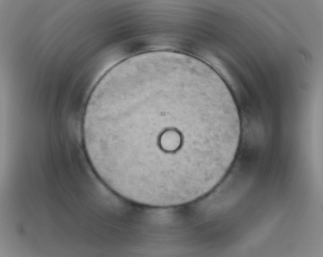 X0000114410810200910161205