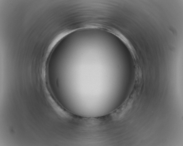 X0000114410811200910161205