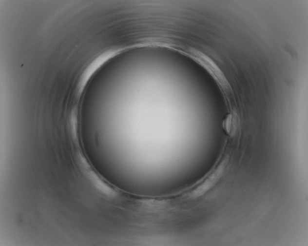 X0000114410812200910161205