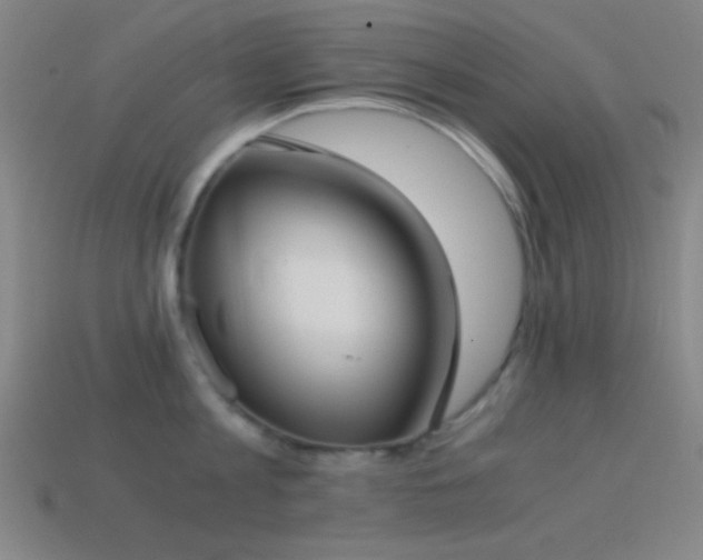 X0000114410813200910161205
