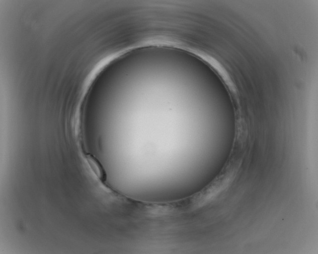 X0000114410815200910161205
