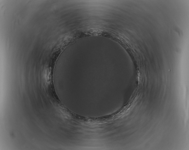 X0000114410818200910161204