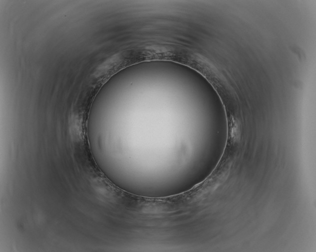 X0000114410819200910161204