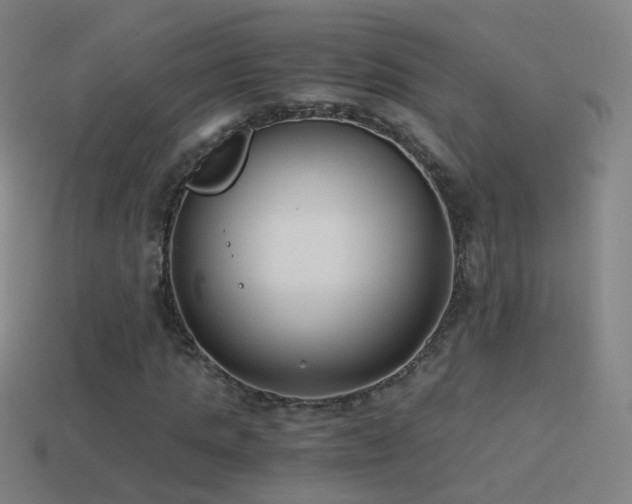 X0000114410821200910161204