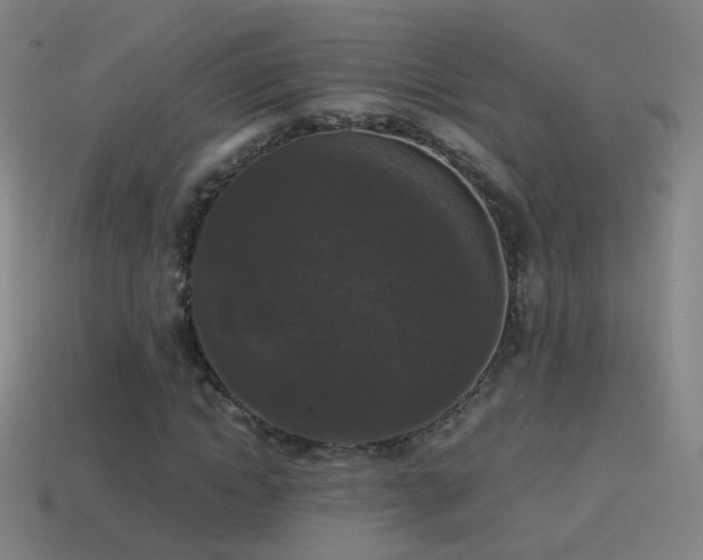 X0000114410822200910161204
