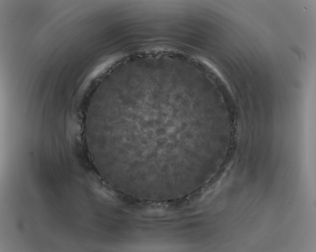 X0000114410823200910161204