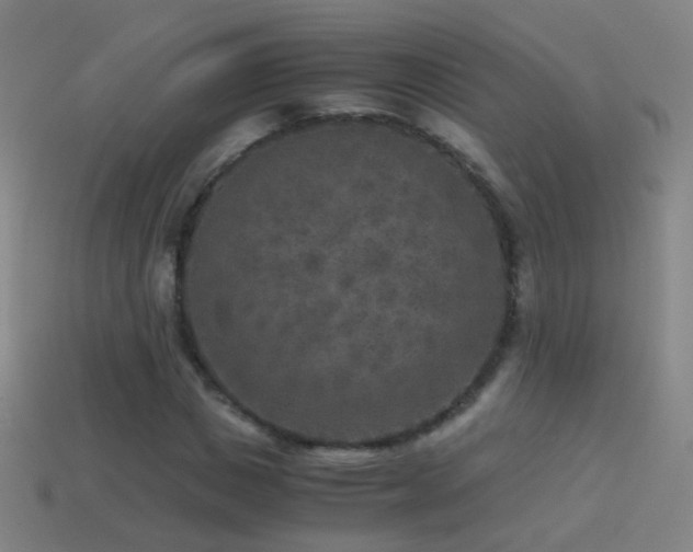 X0000114410825200910161204