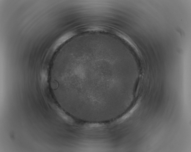 X0000114410826200910161204