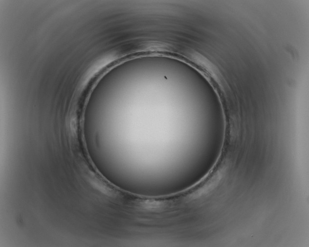 X0000114410827200910161204