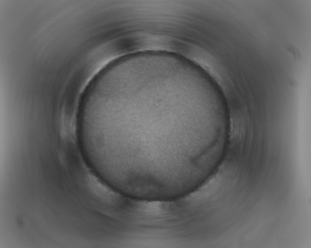 X0000114410828200910161204