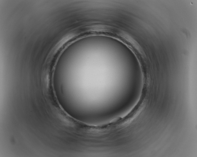 X0000114410829200910161205