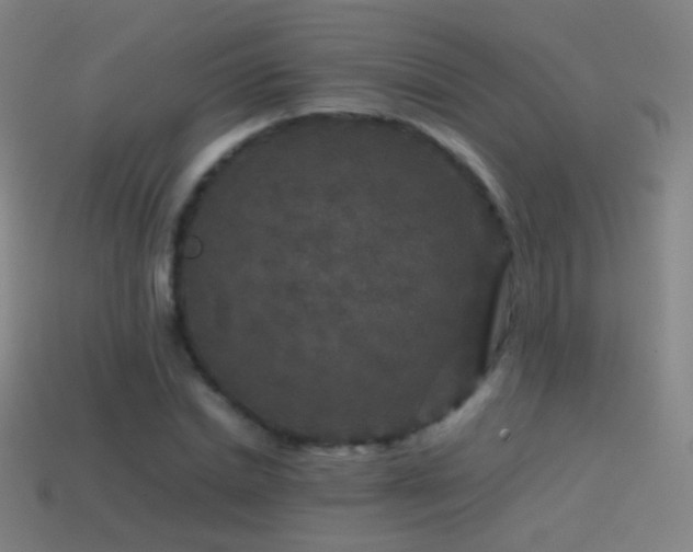 X0000114410830200910161205