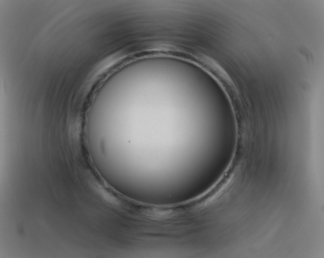 X0000114410831200910161205