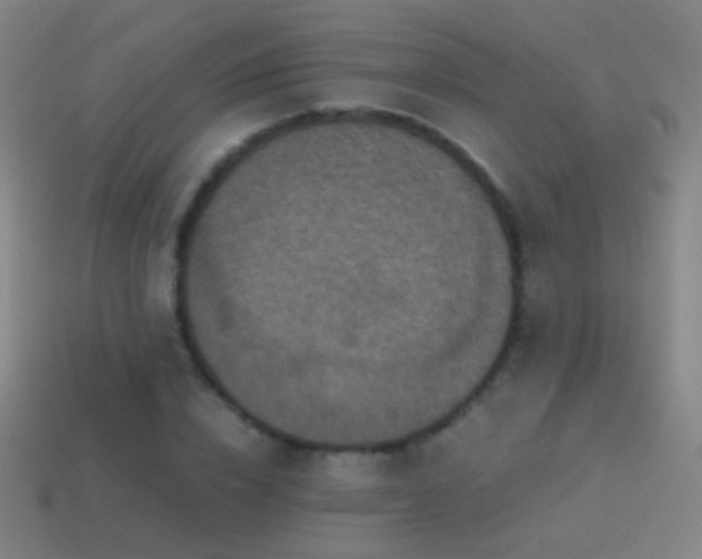 X0000114410832200910161205