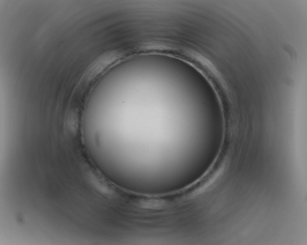 X0000114410833200910161205