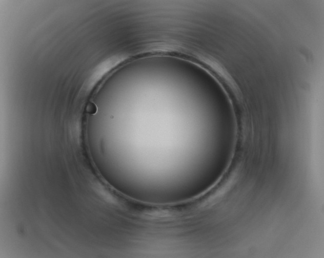 X0000114410834200910161205