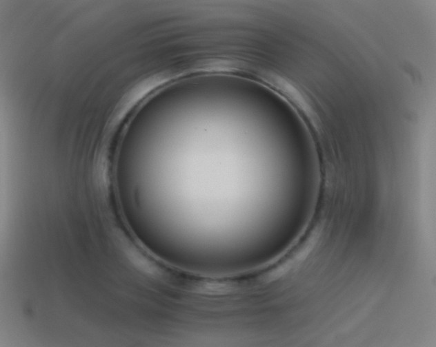 X0000114410835200910161205