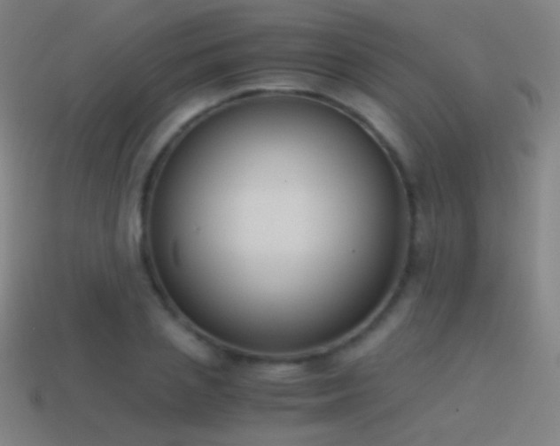 X0000114410837200910161205